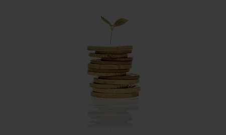 Pile of Coins with A Small Plant on Top